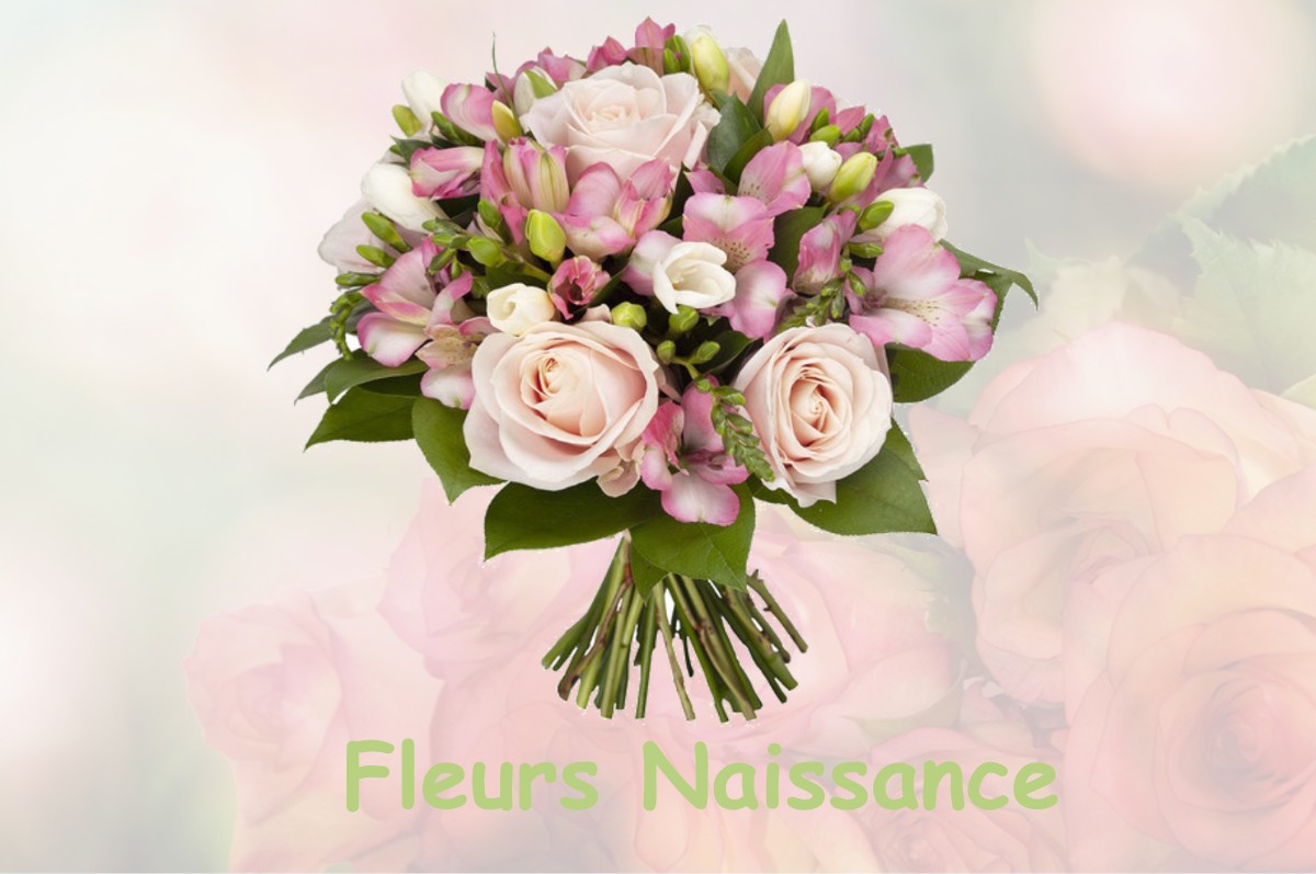 fleurs naissance CHATENAY-EN-FRANCE
