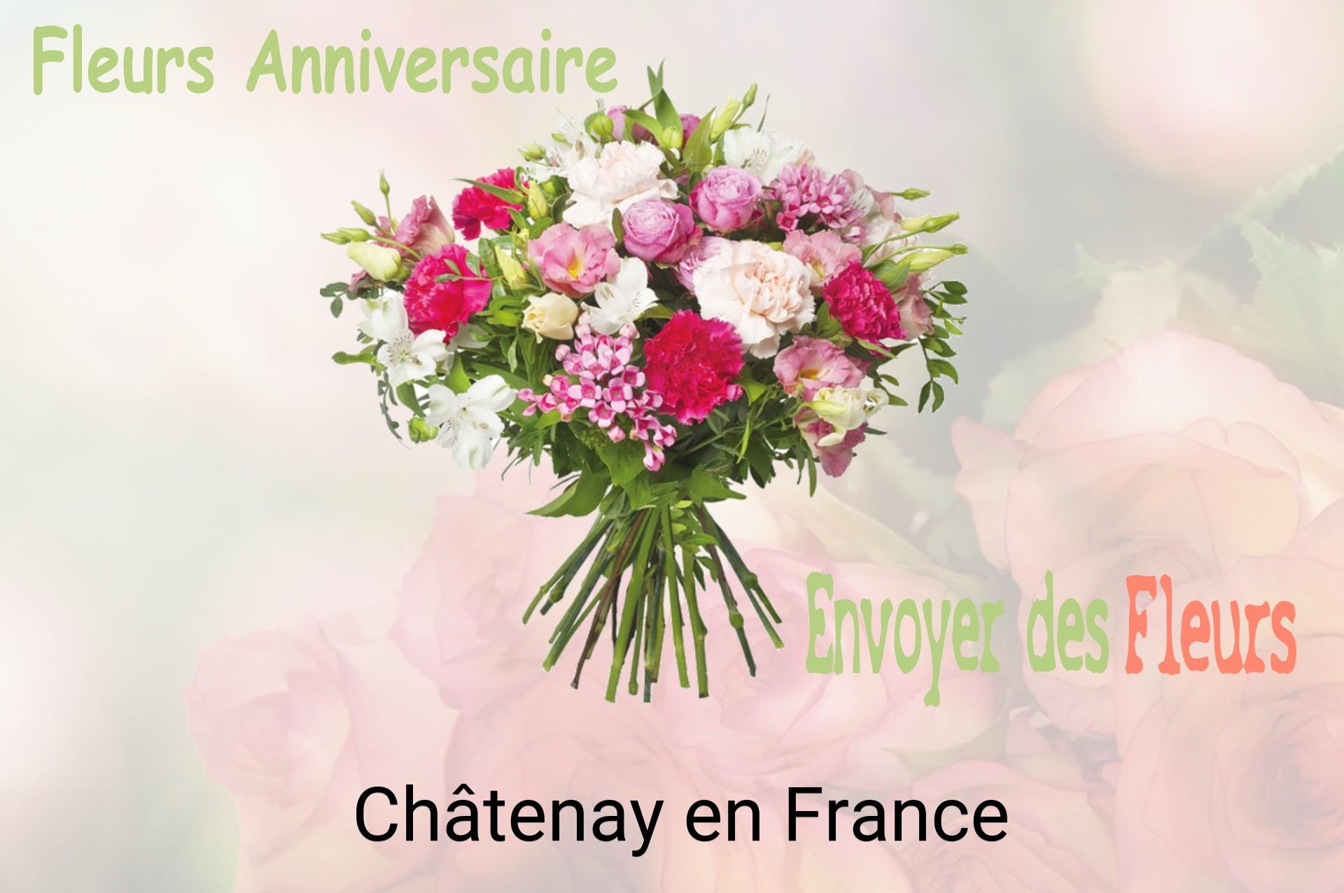 Bouquet de fleurs d’anniversaire livré à Châtenay-en-France