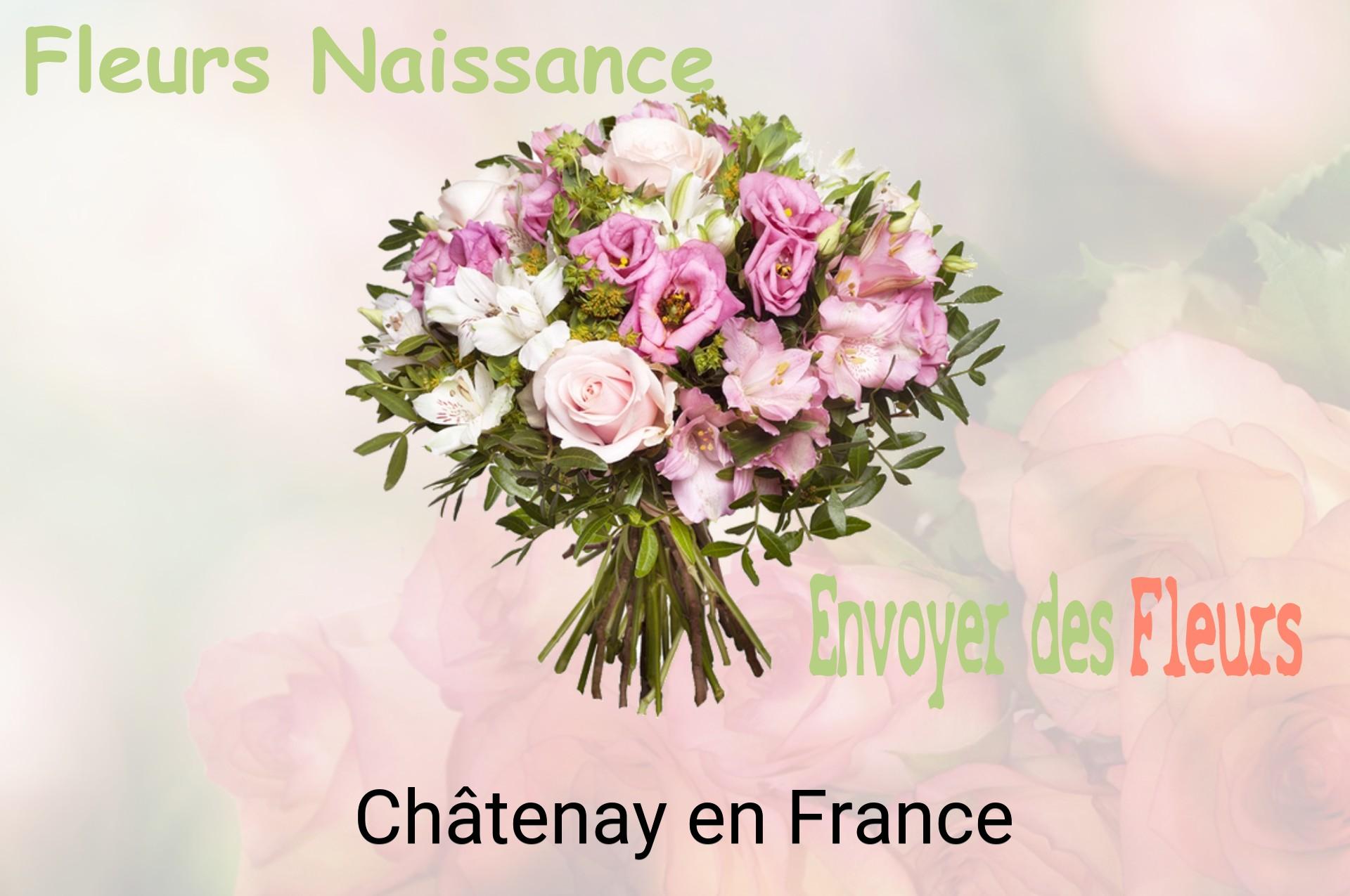 Bouquet de fleurs de naissance livré à Châtenay-en-France
