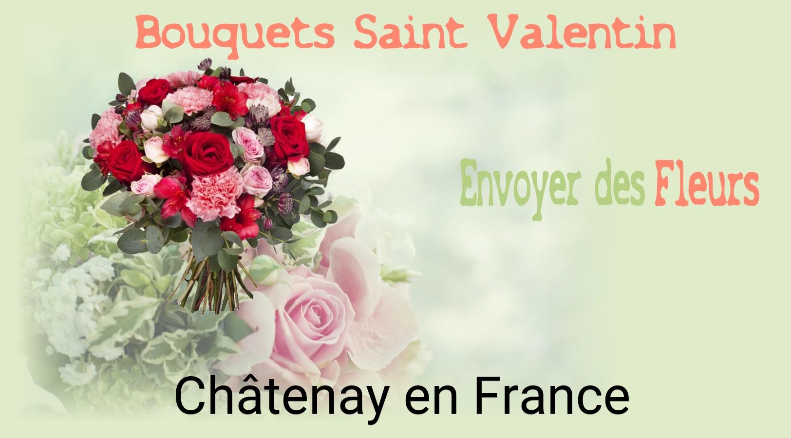 Roses de Saint-Valentin livrées à Châtenay-en-France