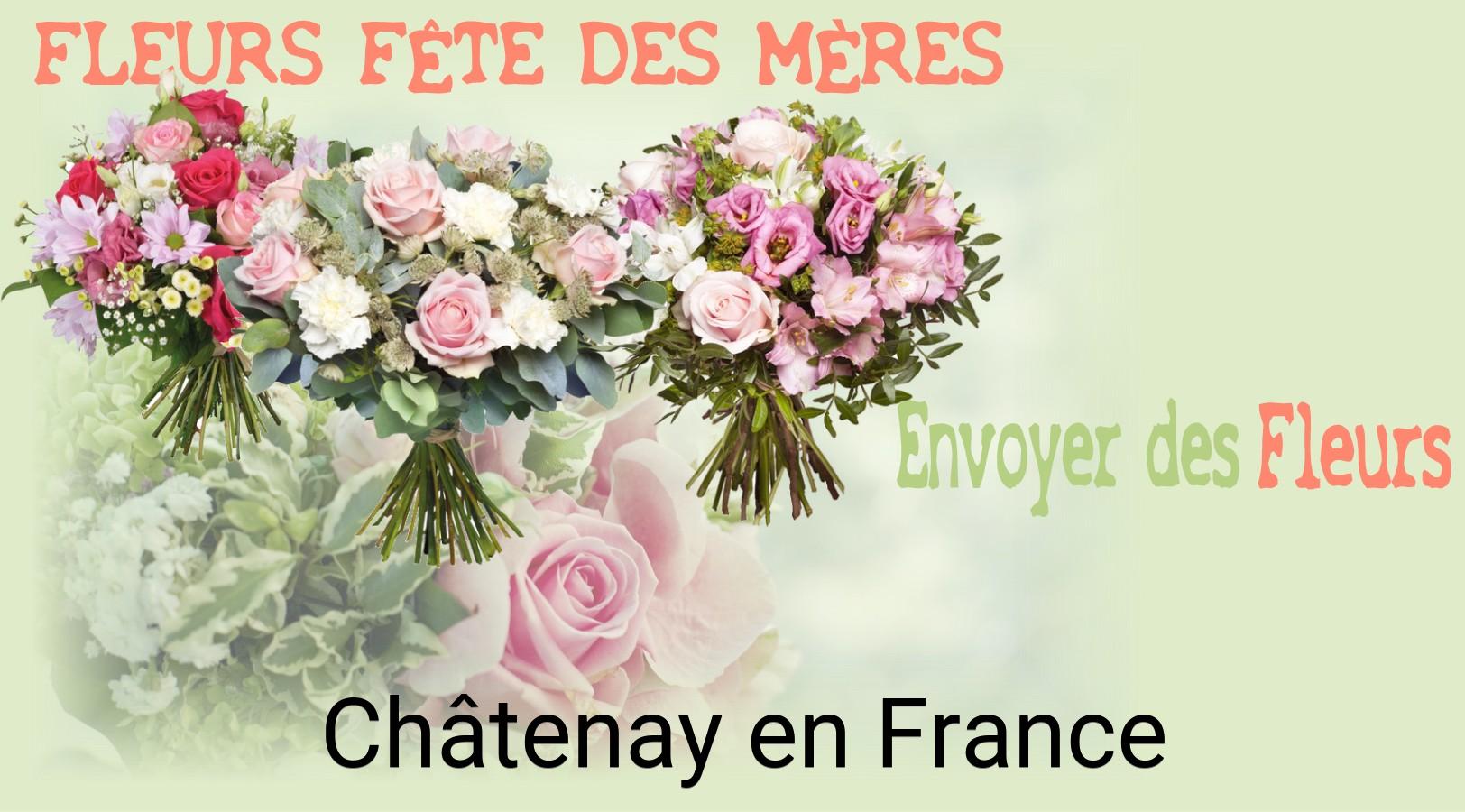 Bouquet de Fête des Mères livré à Châtenay-en-France