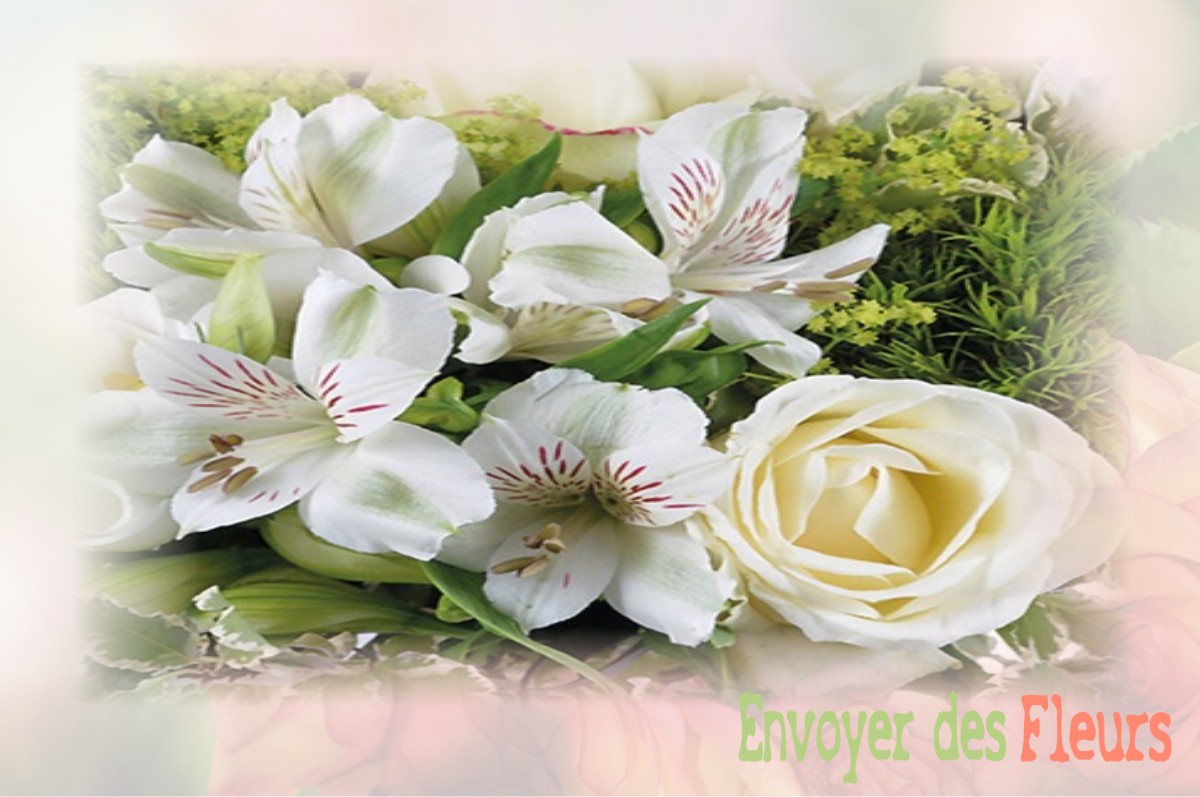 envoyer des fleurs à à CHATENAY-EN-FRANCE