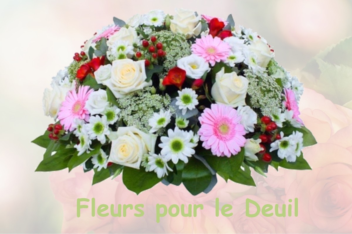 fleurs deuil CHATENAY-EN-FRANCE